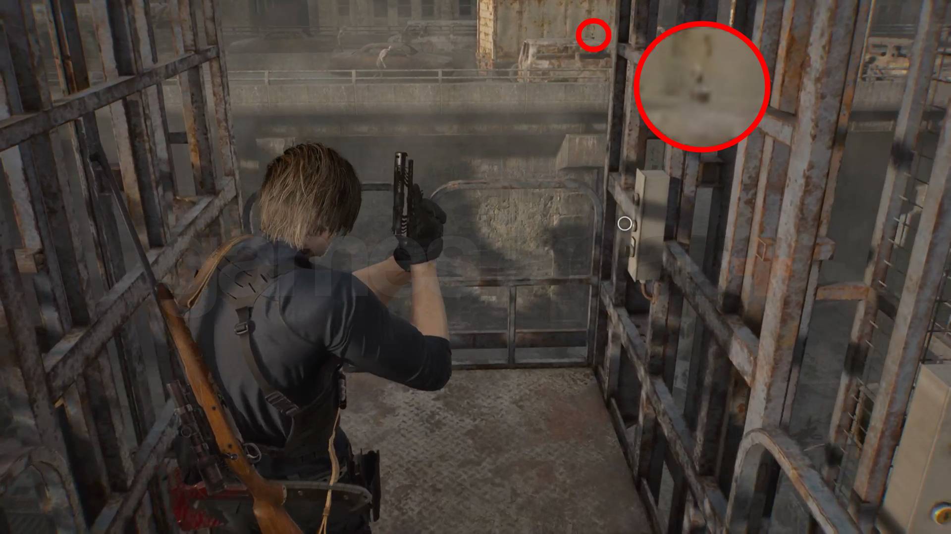 Resident Evil Requiem Racoons