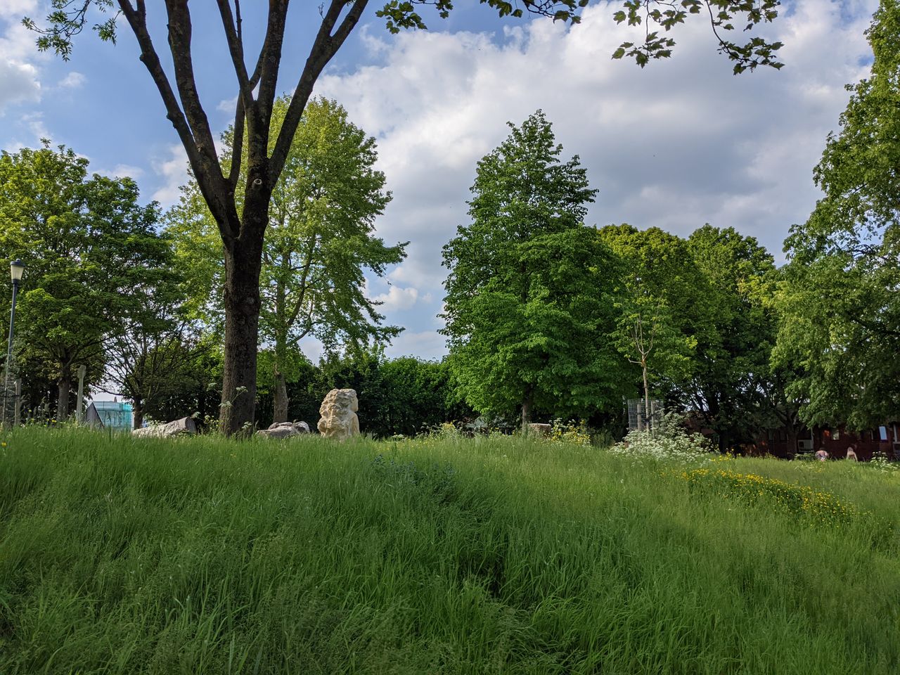 Google Pixel 4A 5G Camera