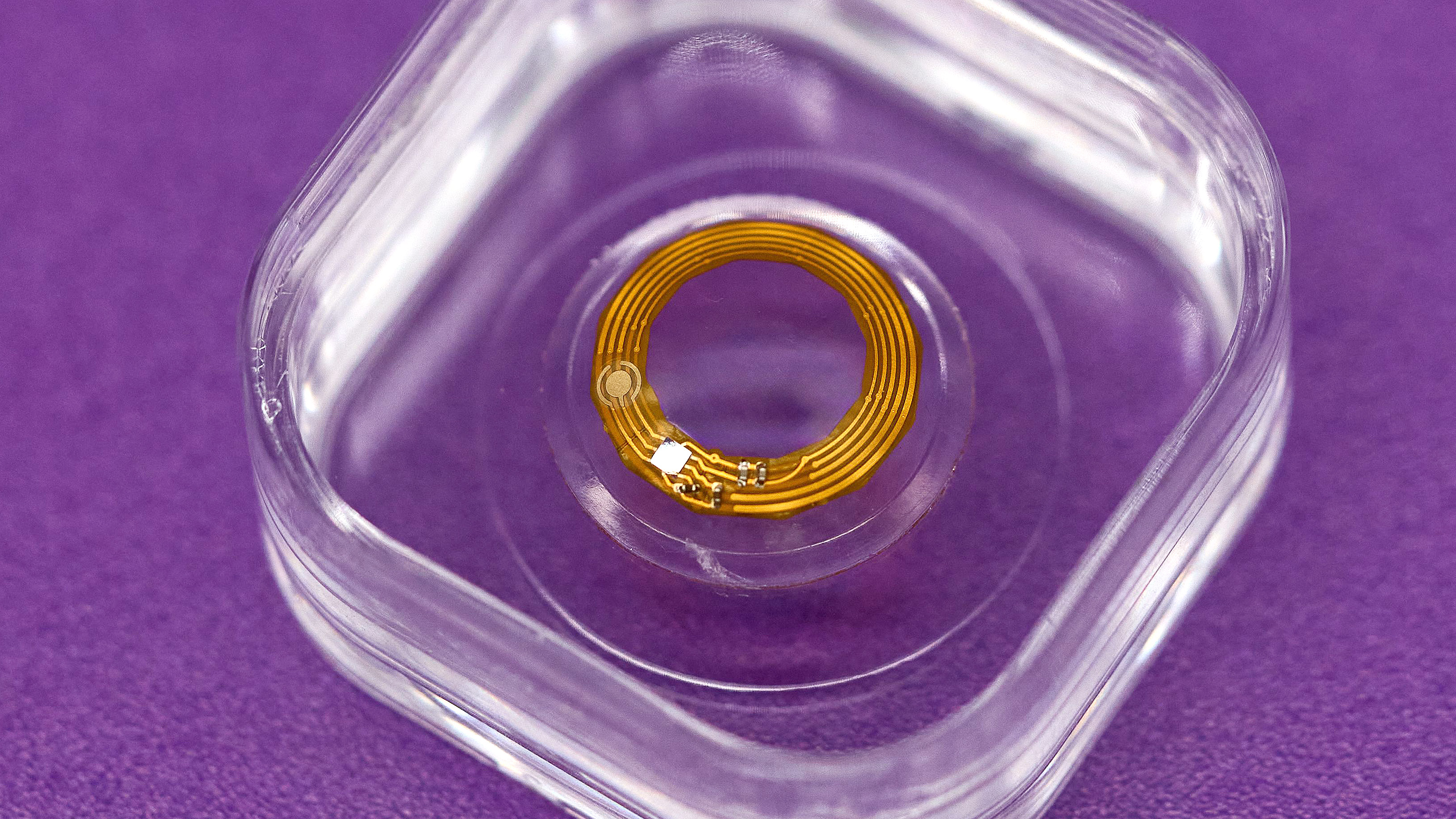 Close-up of an Xpanceo smart contact lens prototype