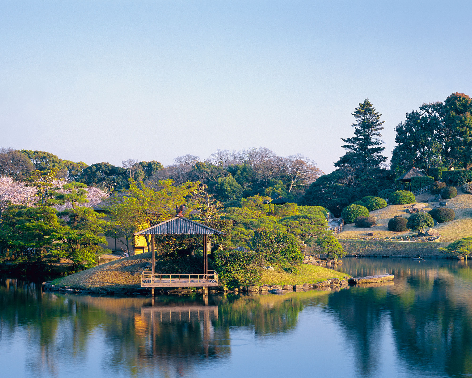 A large lake surrounded by trees and plants with a wooden platform overlooking the water