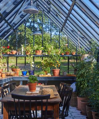 interior of Cliveden greenhouse from Alitex with shelving and dining furniture