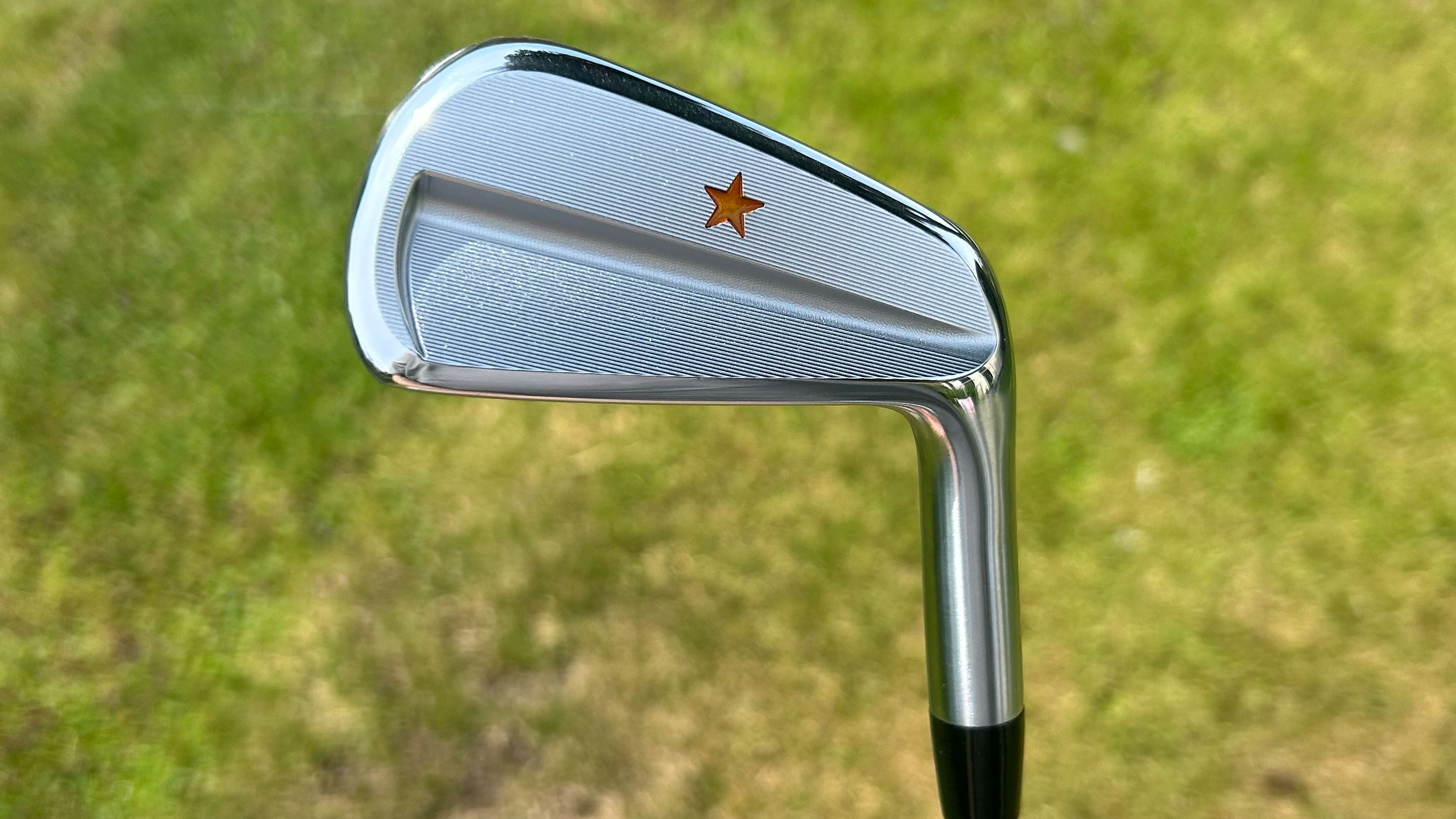 Photo of the Vega SS Irons