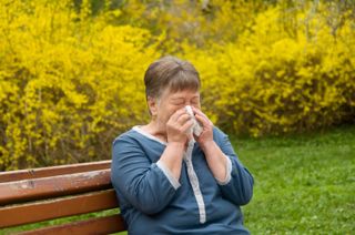 Seasonal allergies cause runny noses and itchy eyes for many people. The most common allergen is pollen.