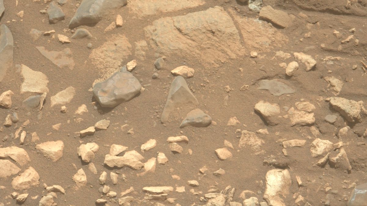 Mars dust is toxic. How will future astronauts deal with it?