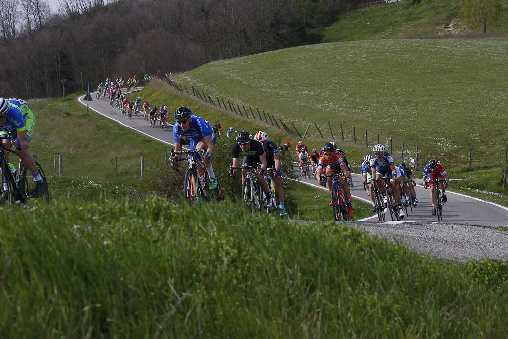 The peloton in action during stage 2 at Coppi e Bartali