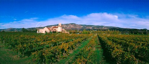 Californian Cabernet