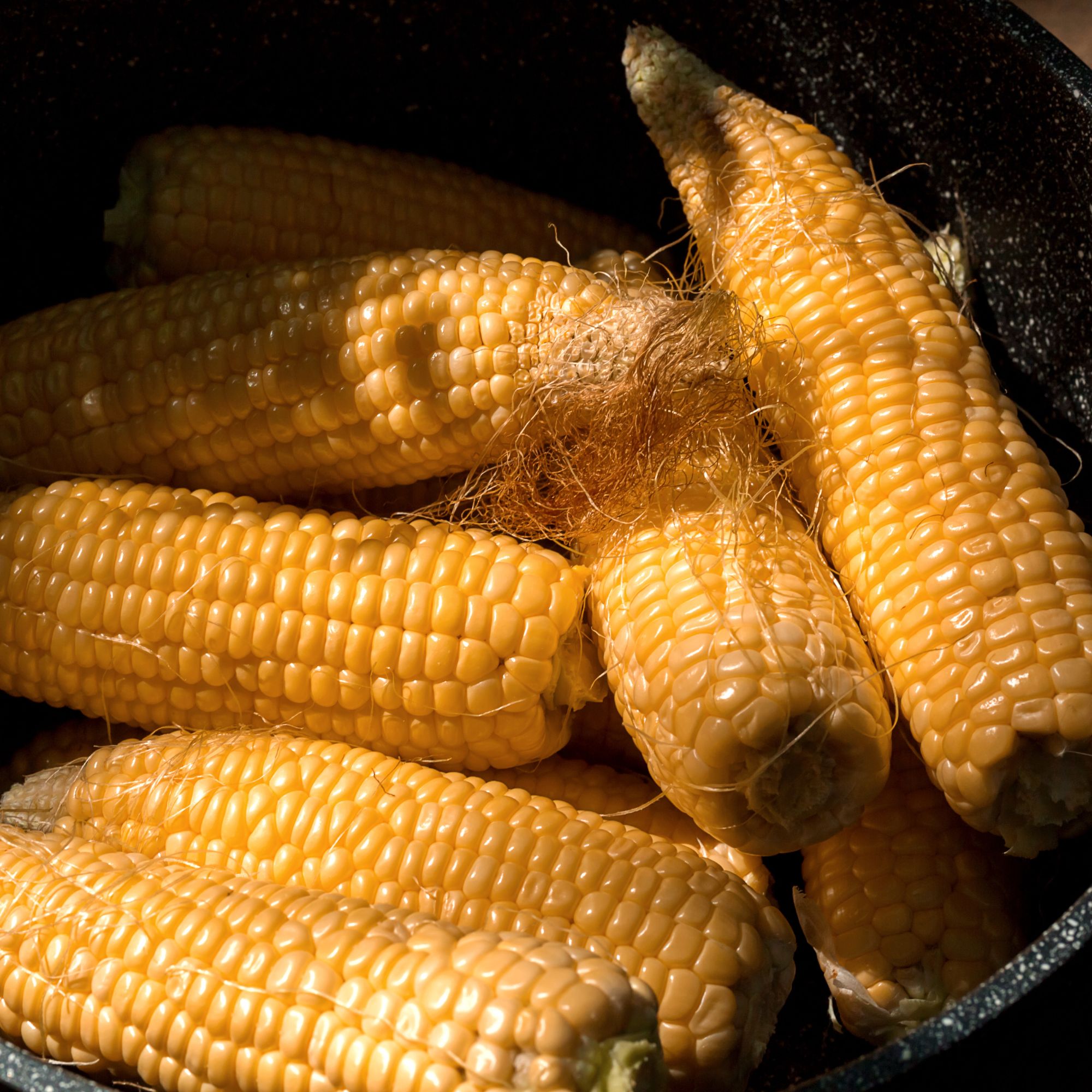 Harvested sweetcorn