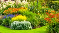 island bed in lawn with plants and flowers