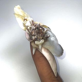 Nail artist Sojin Oh nail design made from seashells