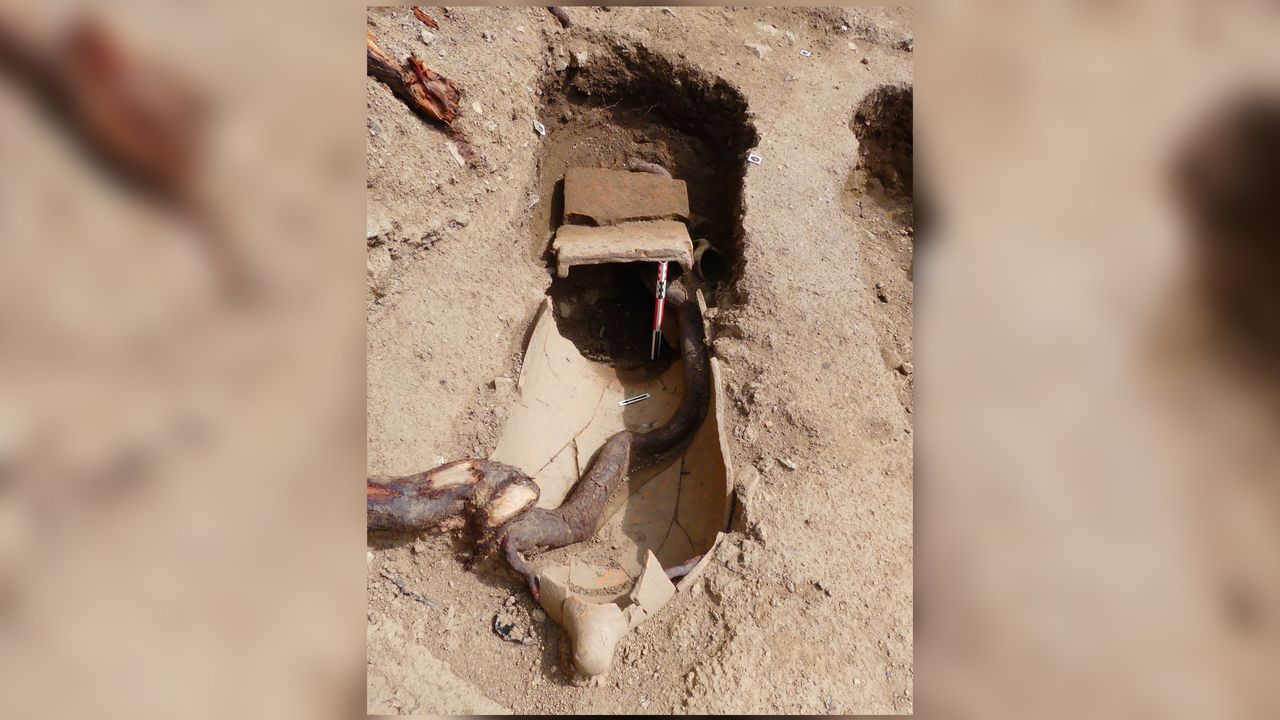 Roof tiles called "tegulae" were used to cover the burial seen here.