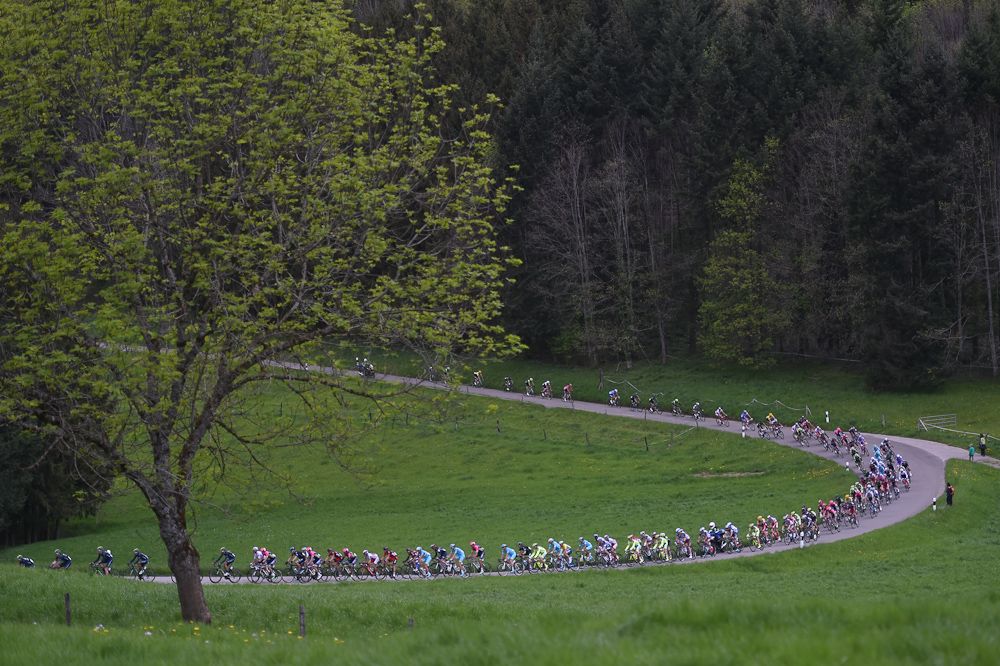 The pack rolls through the Swiss countryside.
