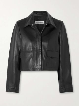 Bleeker Cropped Paneled Leather Jacket