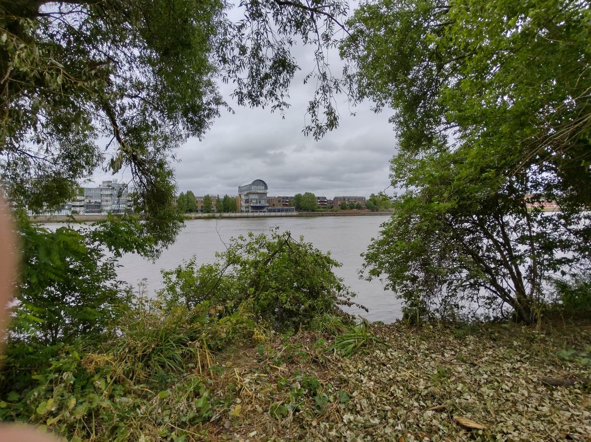 An image shot with the ultra-wide camera (ignore the fingers)