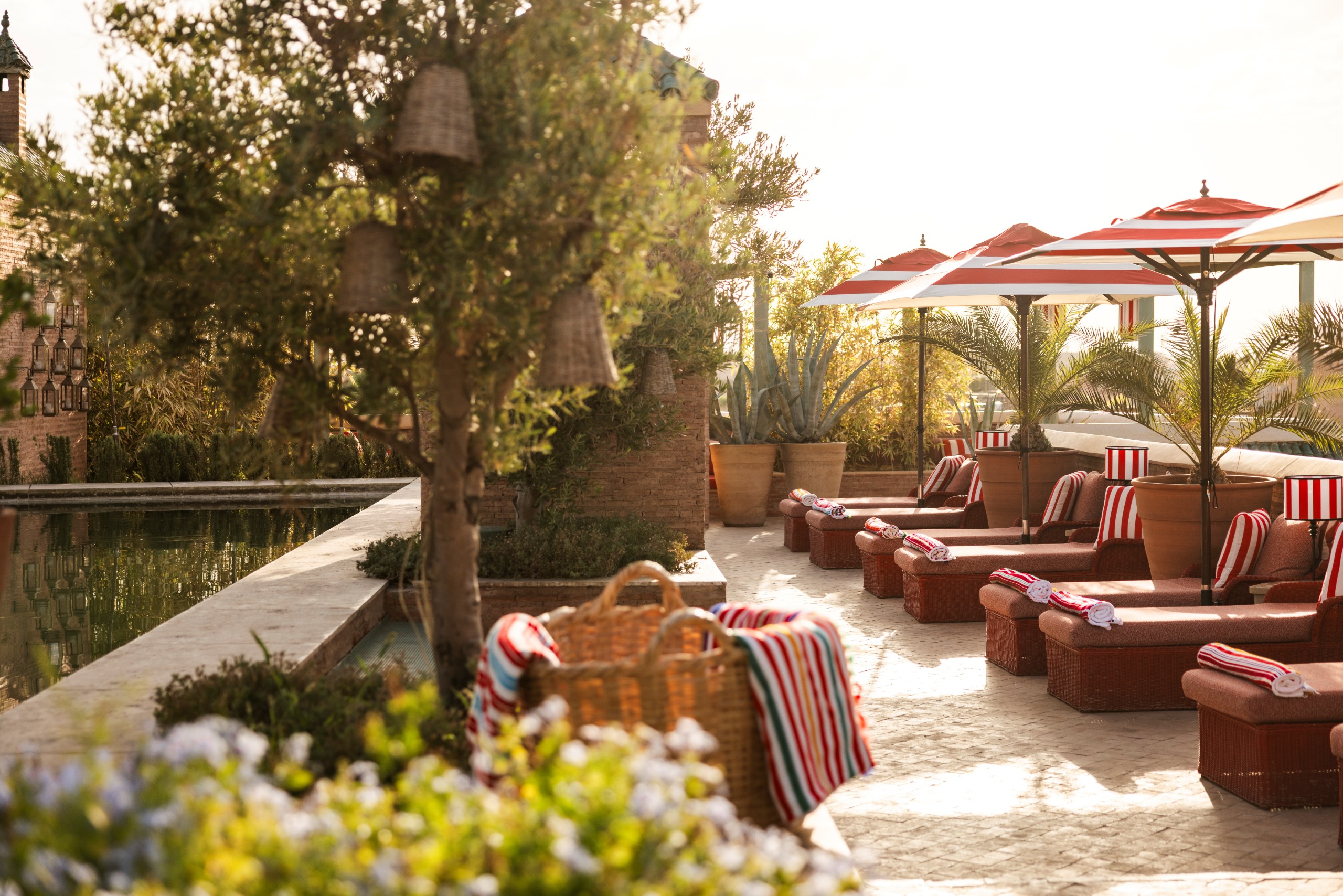 A sun-lit rooftop terrace adorned with striped, red and white louners, tables, and dining chairs, thriving plants, and food served al fresco.