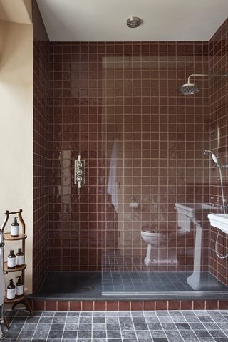 Small bathroom layout ideas Chocolate brown tiles in a shower enclosure