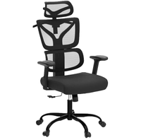 Winrise high-back ergonomic desk chair