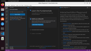 Visual Studio Code in use