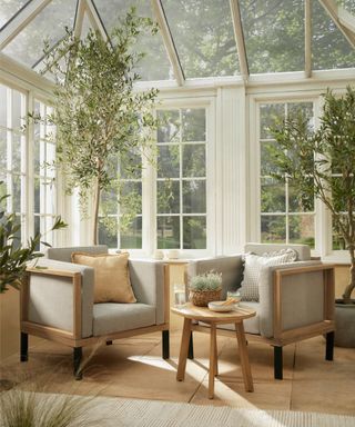 inside of cream framed sunroom with olive trees, light terracotta tiled floor, two armchairs, wooden table and cream rug on floor