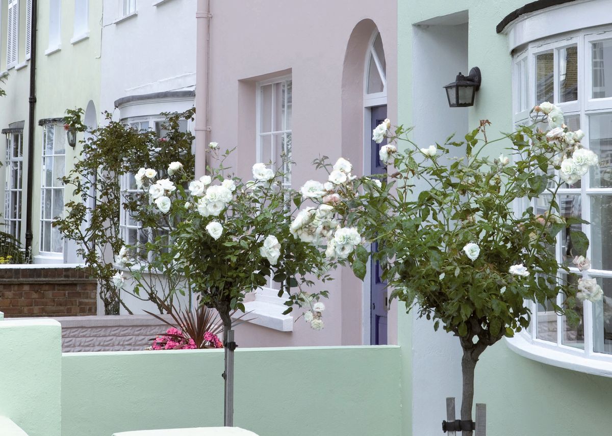 Repainting exterior walls Real Homes