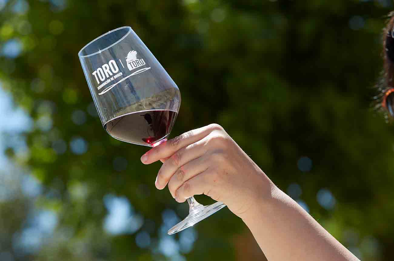 Red wine from Spain's DO Toro region in Castilla y Leo&amp;#769;n