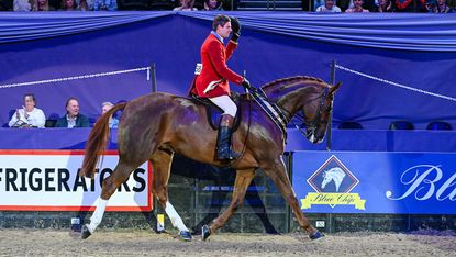 2024 HOYS supreme horse of the year