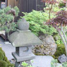 Japanese garden with stone pagoda, acer tree and moss-covered stones at RHS Chelsea Flower Show