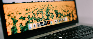 Un ordinateur portable affiche les icônes de trois applications Adobe