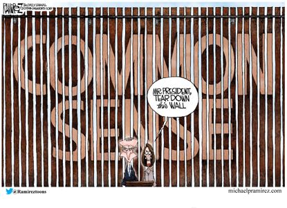Political cartoon U.S. Trump Pelosi Schumer&nbsp;wall government shutdown