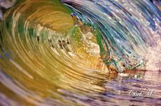 Deb Morris WaveArt