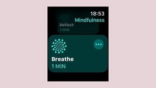 Screenshot of the Mindfulness app on Apple Watch, showing Breathe and Reflect 1 Minute sessions