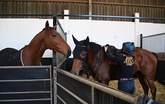 Rowley Racing 10 10 2018