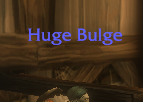 Players running around in WoW: Forever with some suspect, silly names.