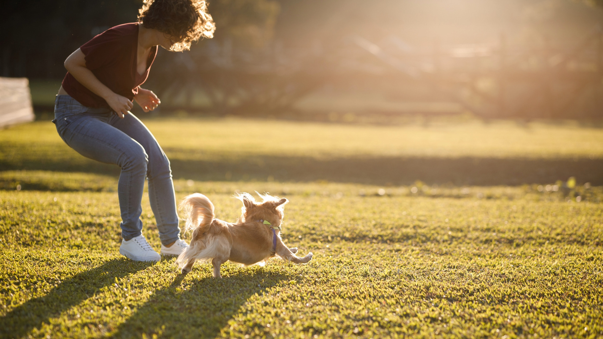a woman and small dog play together in a park