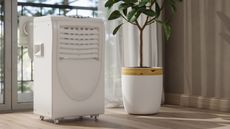 Dehumidifier by plant in living room