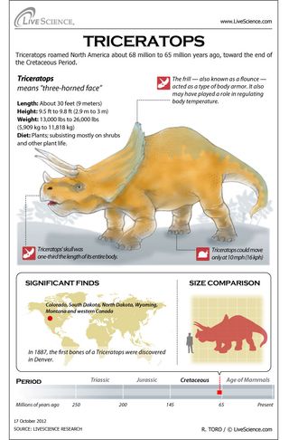 Learn about the horns, bones, habitat and other secrets of Triceratops.