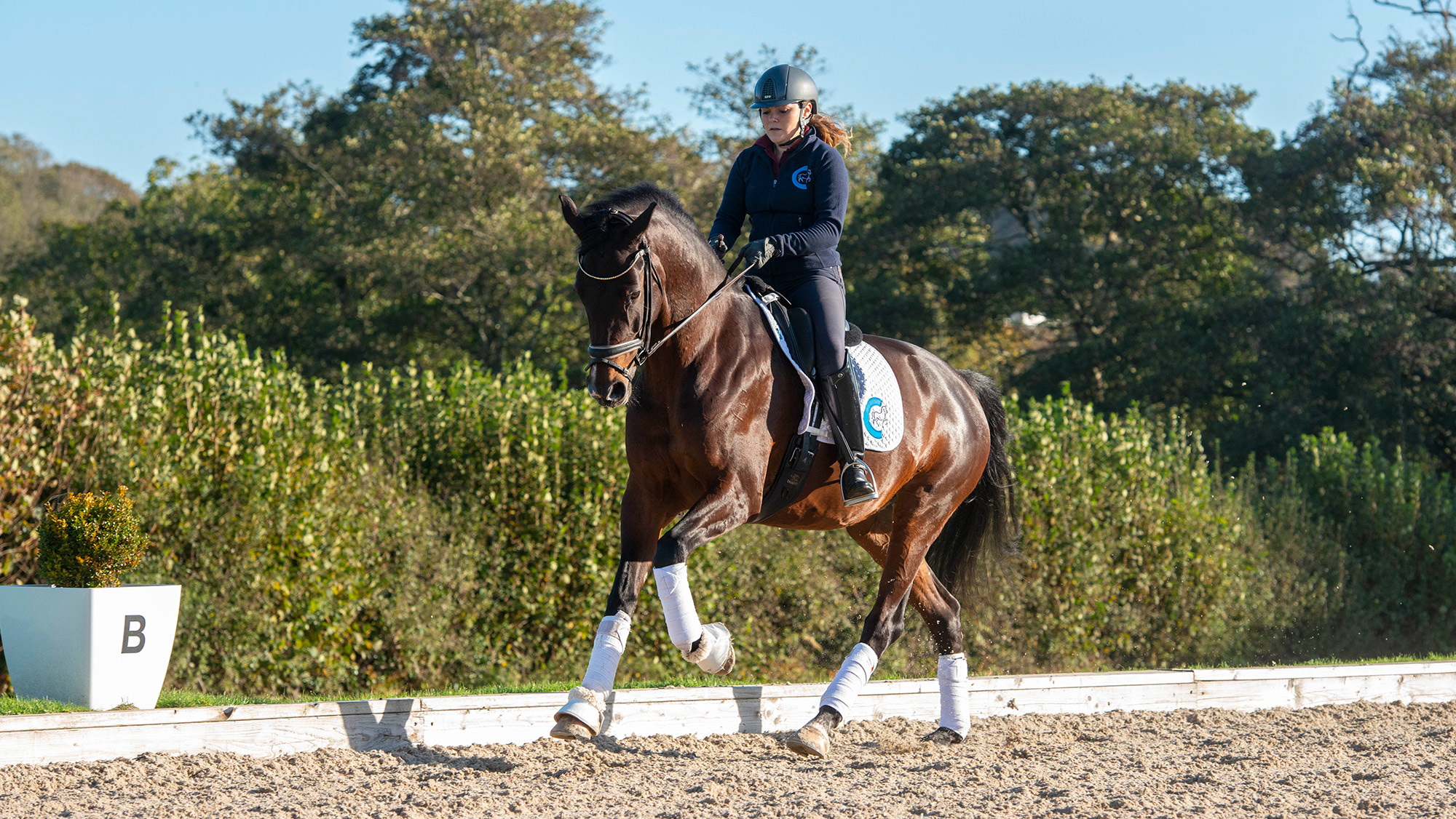 Rider cantering horse down long side of arena