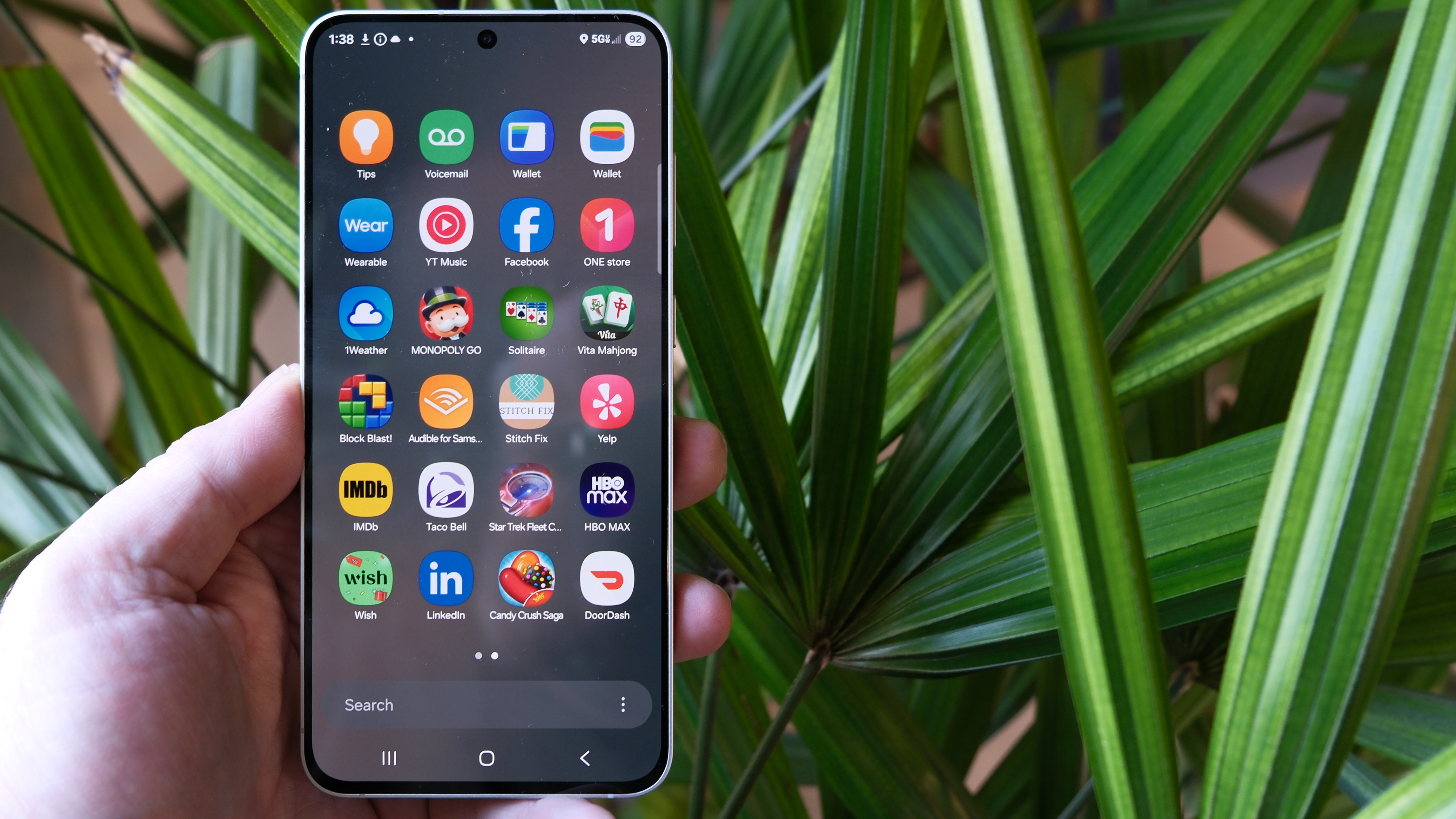 Samsung Galaxy S25 FE in hand with long green leaves behind