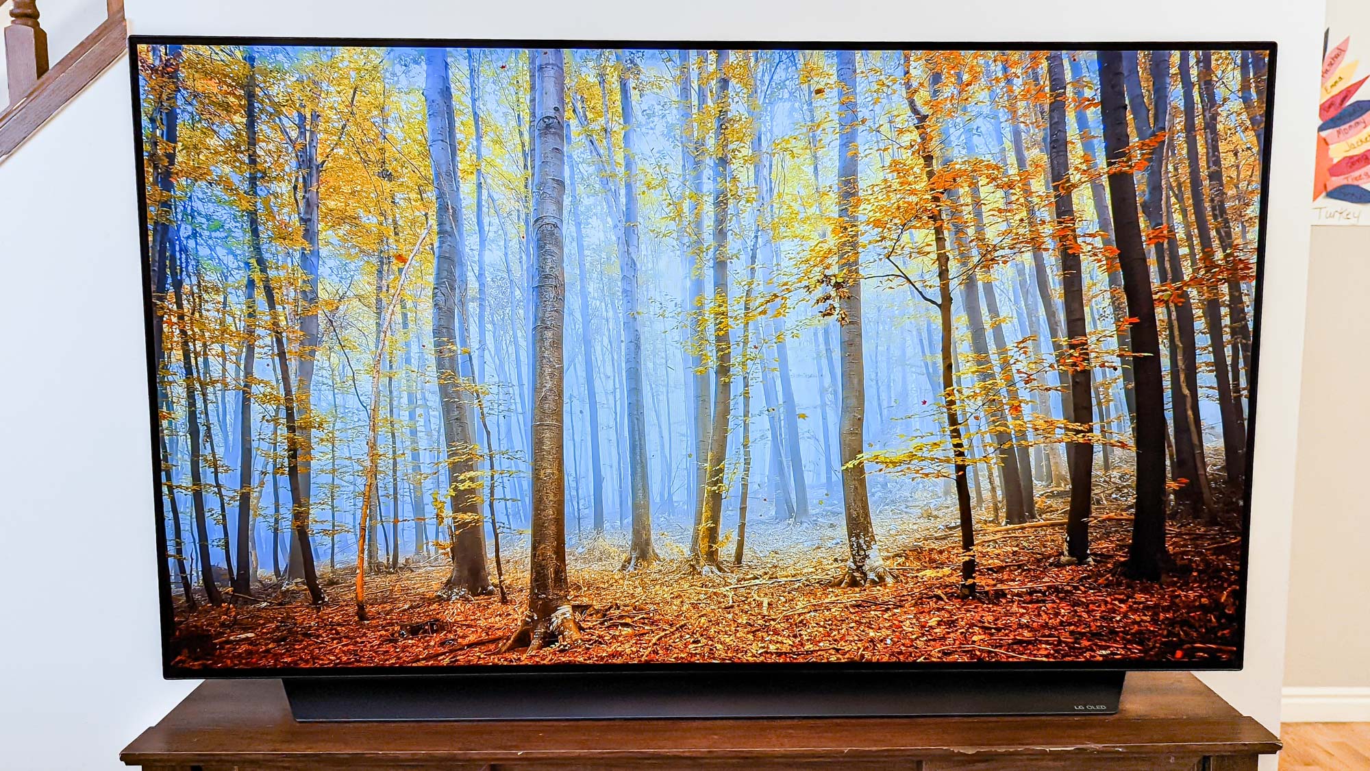 LG C1 OLED TV display in livingroom