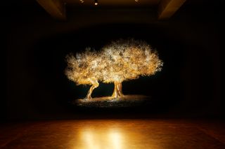 Projection of an olive tree, part of Greece Pavilion at London Design Biennale