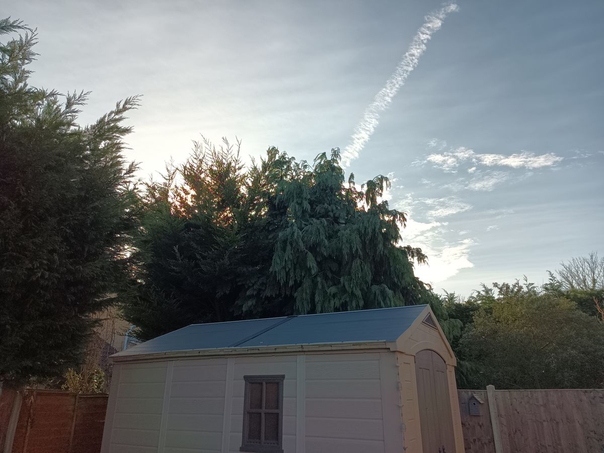 Pictures taken with the Doogee V Max