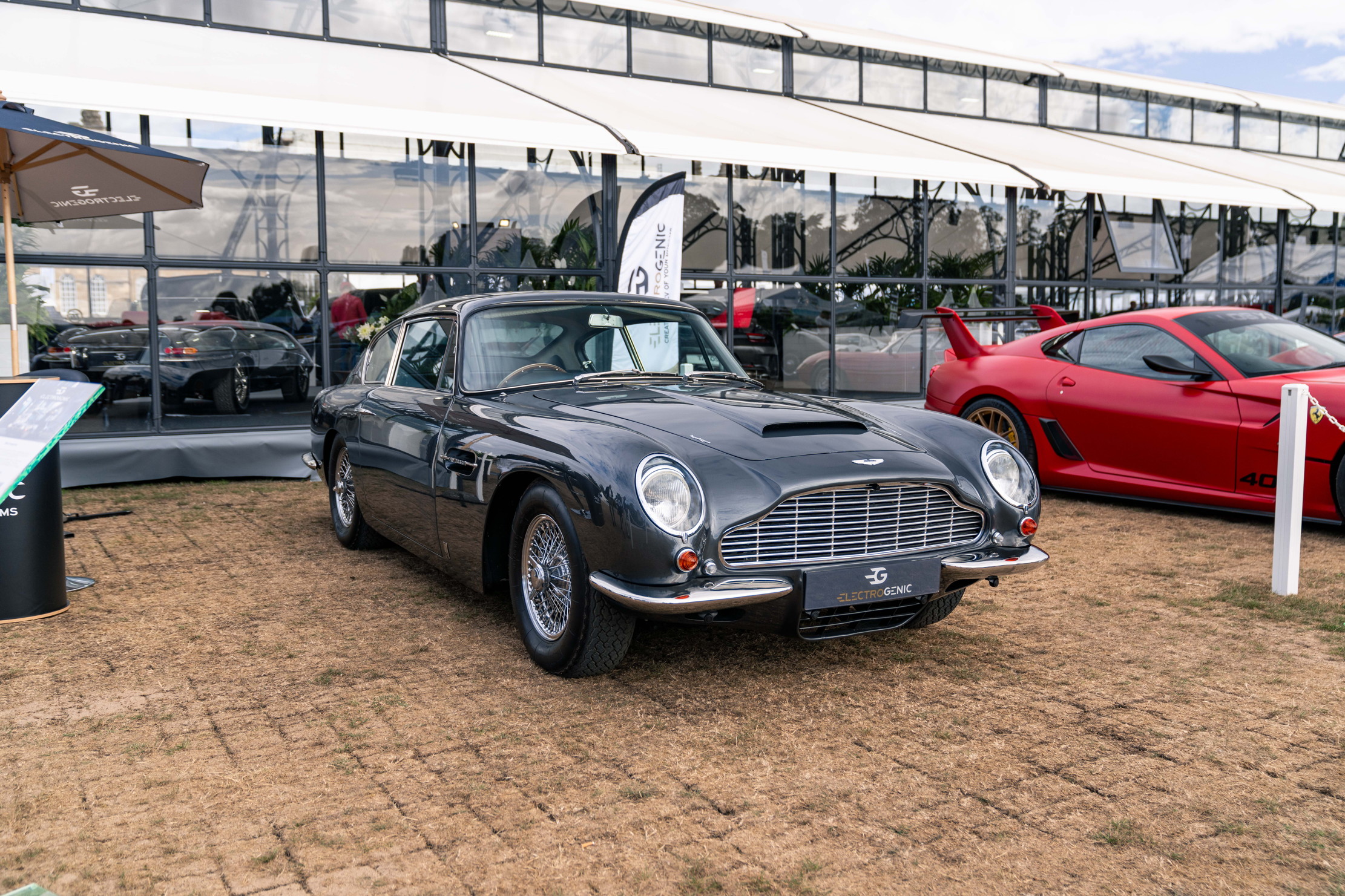 The Electrogenic DB6