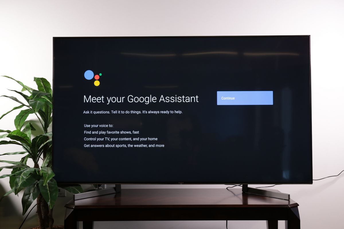 control sony tv with google home