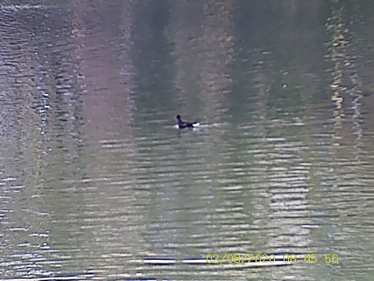 Sample images from the Rexing B1 Basic