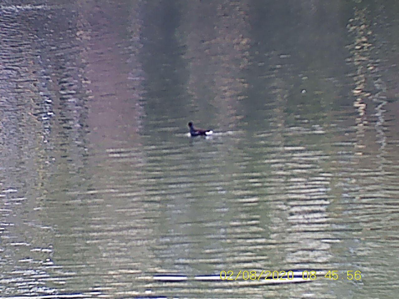 Sample images from the Rexing B1 Basic