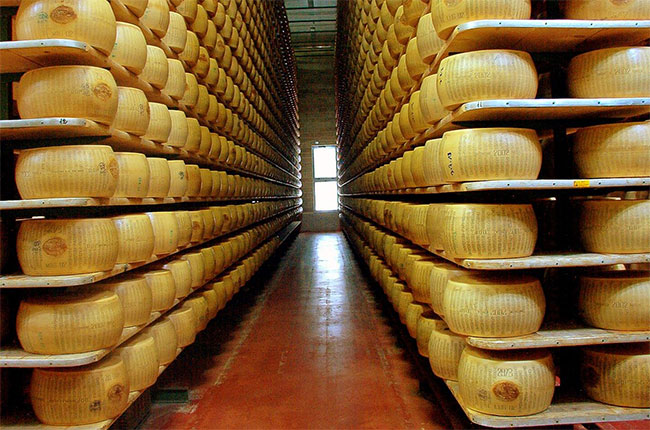 Wheels of Parmigiano Reggiano in a factory in Italy