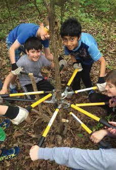 Fourth-grade CPS students at Fairview Elementary take out invasive honeysuckle plants.