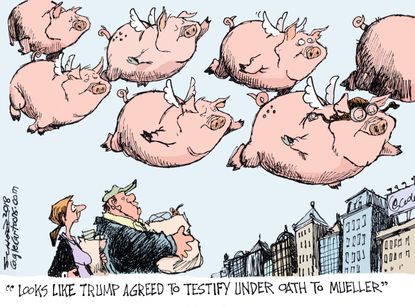 Political cartoon U.S. Trump testimony Mueller Russia investigation