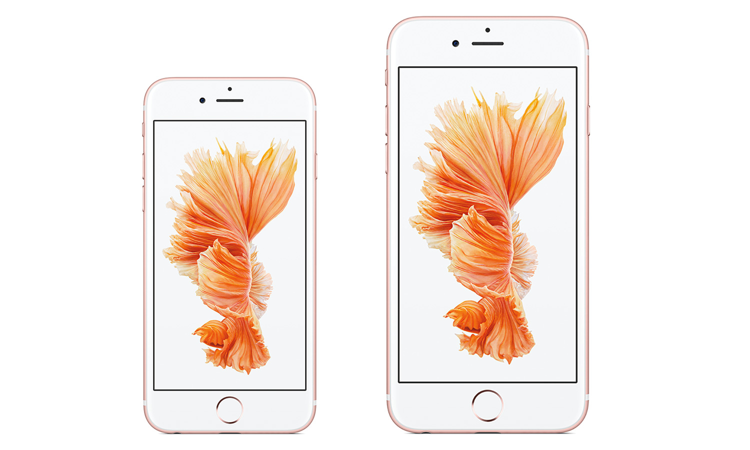 iPhone 6s vs iPhone 6s Plus: Why the Plus Wins | Tom's Guide