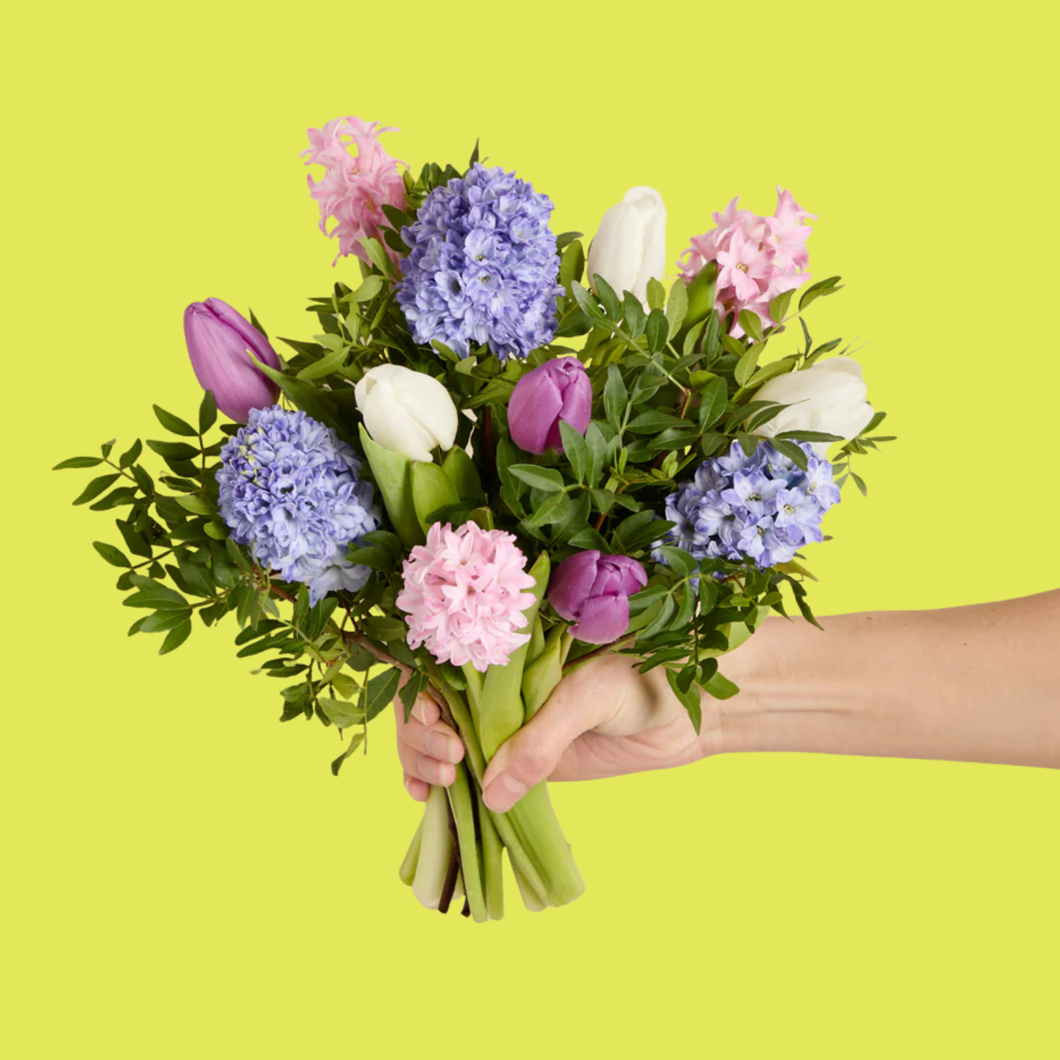 A hand holding a bouquet of hyacinths and tulips
