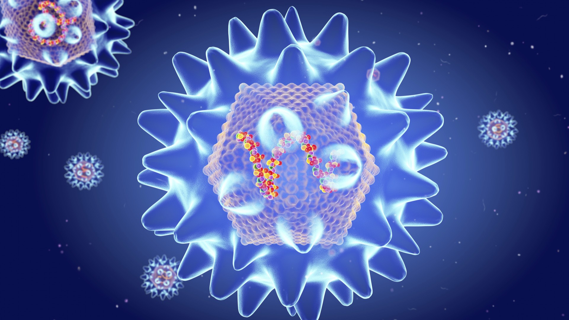 An illustration of a blue translucent spiky sphere of a hantavirus molecule, with a 3D strand of DNA at the center. All in front of a blue background.
